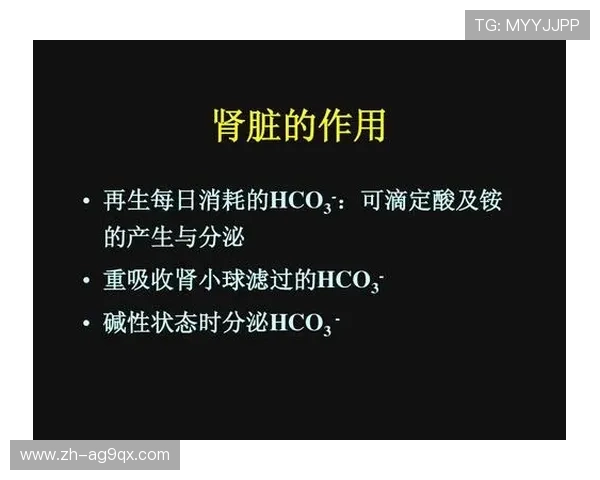 足球相变过程如何影响足球运动员身体状态调节