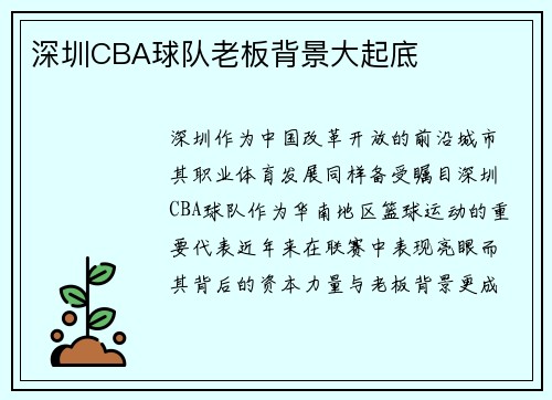 深圳CBA球队老板背景大起底