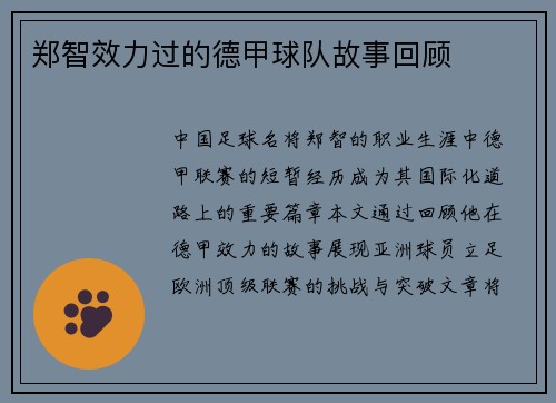 郑智效力过的德甲球队故事回顾